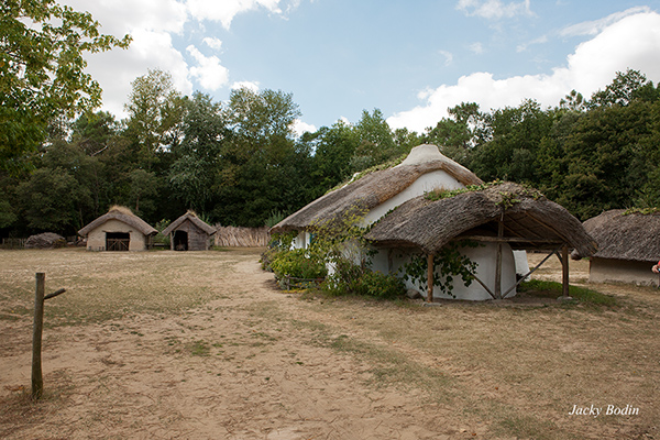 une vue générale de la bourrine du bois Juquaud